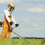 Što je bolje odabrati plinski trimer